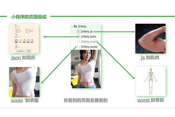 晋中微信小程序开发,晋中微信小程序制作,晋中微信小程序公司(图1)