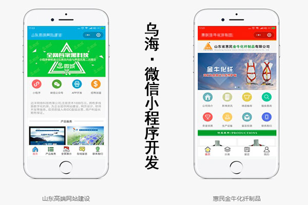 乌海微信小程序开发,乌海微信小程序创建,乌海微信小程序搭建(图2)